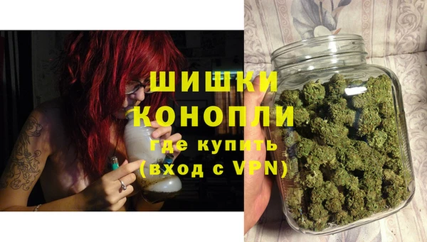 ГАЛЛЮЦИНОГЕННЫЕ ГРИБЫ Беломорск