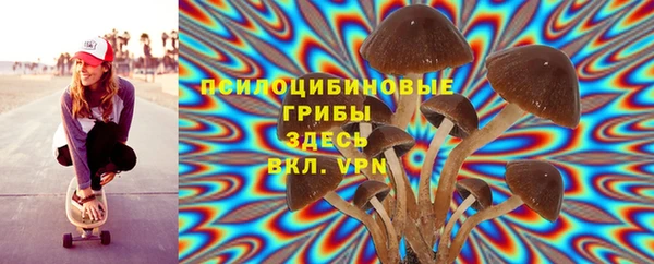 a pvp Белокуриха