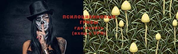 a pvp Белокуриха
